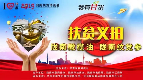 縣域鄉(xiāng)村振興新路徑 文縣農(nóng)特產(chǎn)品品牌建設(shè)與網(wǎng)站運(yùn)營(yíng)實(shí)踐